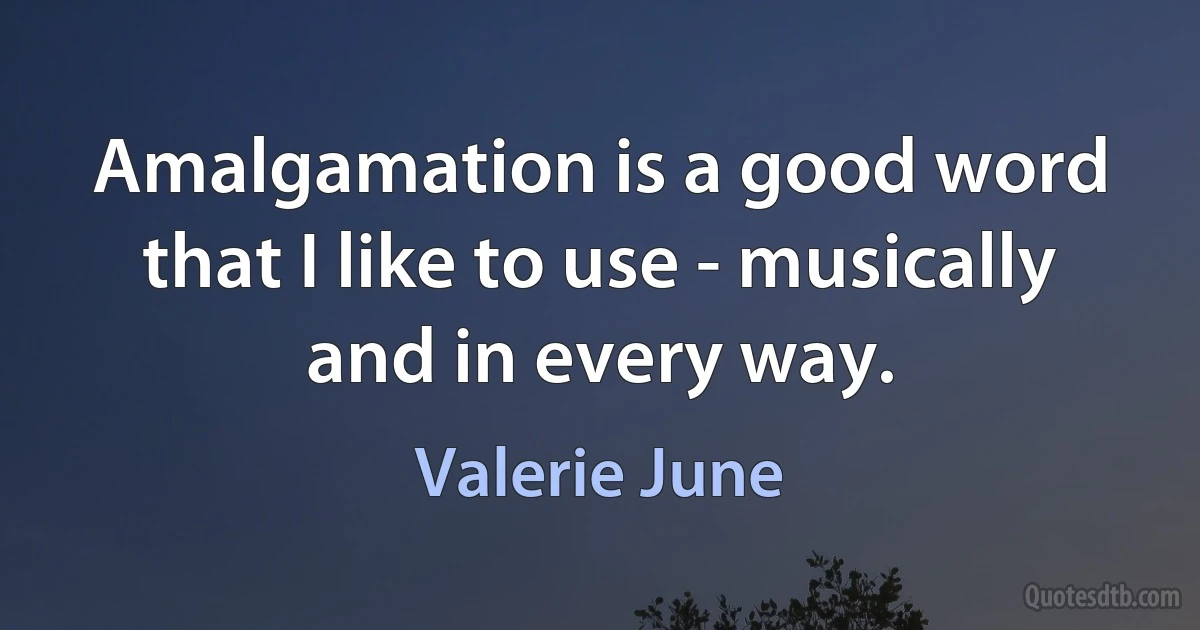 Amalgamation is a good word that I like to use - musically and in every way. (Valerie June)