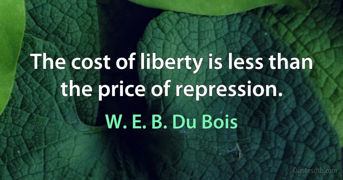 The cost of liberty is less than the price of repression. (W. E. B. Du Bois)