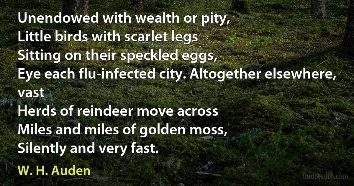 Unendowed with wealth or pity,
Little birds with scarlet legs
Sitting on their speckled eggs,
Eye each flu-infected city. Altogether elsewhere, vast
Herds of reindeer move across
Miles and miles of golden moss,
Silently and very fast. (W. H. Auden)