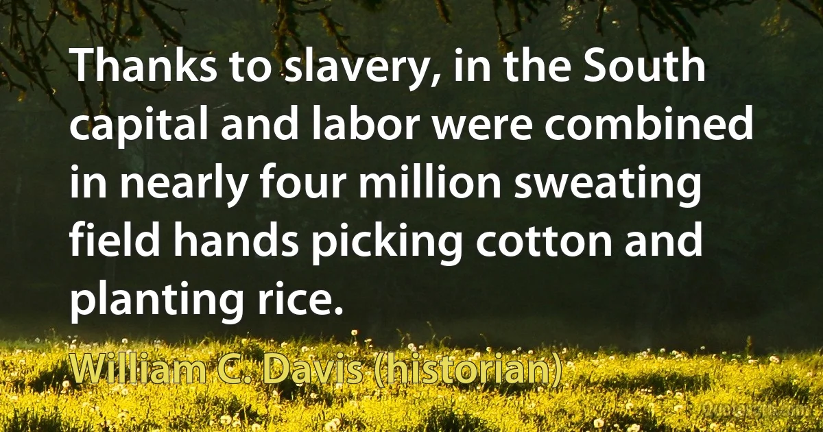 Thanks to slavery, in the South capital and labor were combined in nearly four million sweating field hands picking cotton and planting rice. (William C. Davis (historian))