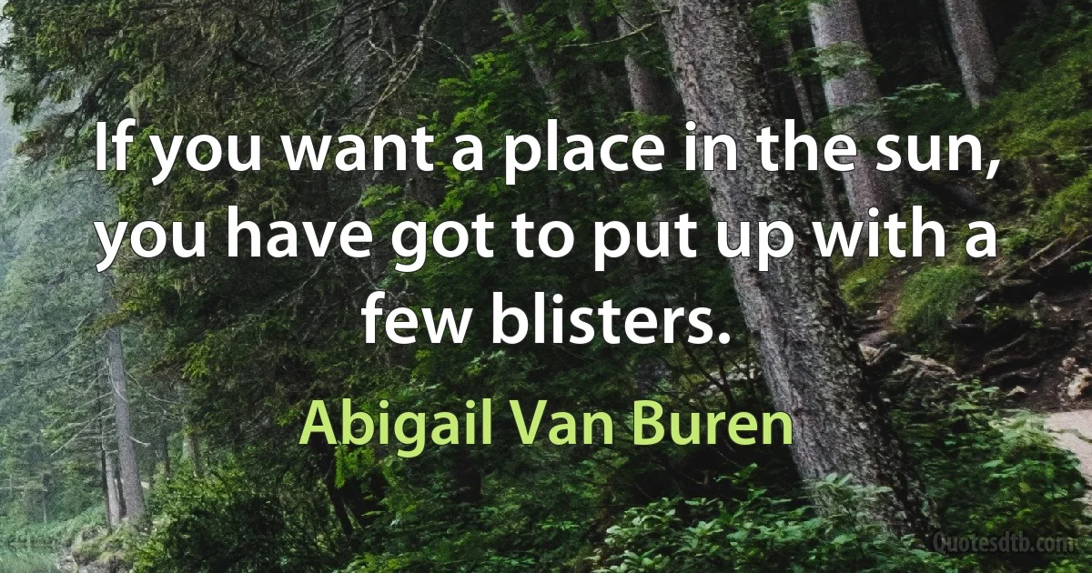 If you want a place in the sun, you have got to put up with a few blisters. (Abigail Van Buren)