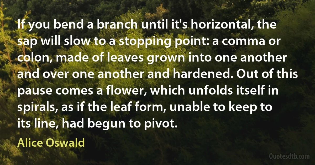 If you bend a branch until it's horizontal, the sap will slow to a stopping point: a comma or colon, made of leaves grown into one another and over one another and hardened. Out of this pause comes a flower, which unfolds itself in spirals, as if the leaf form, unable to keep to its line, had begun to pivot. (Alice Oswald)