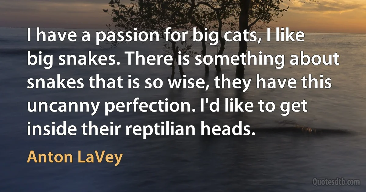 I have a passion for big cats, I like big snakes. There is something about snakes that is so wise, they have this uncanny perfection. I'd like to get inside their reptilian heads. (Anton LaVey)