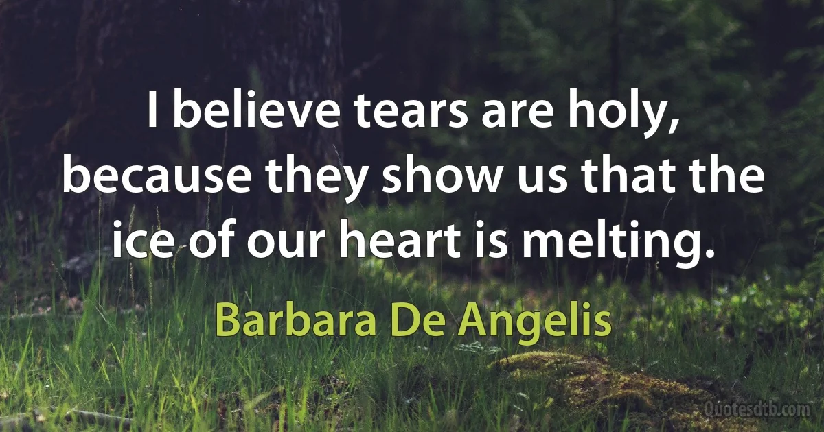 I believe tears are holy, because they show us that the ice of our heart is melting. (Barbara De Angelis)