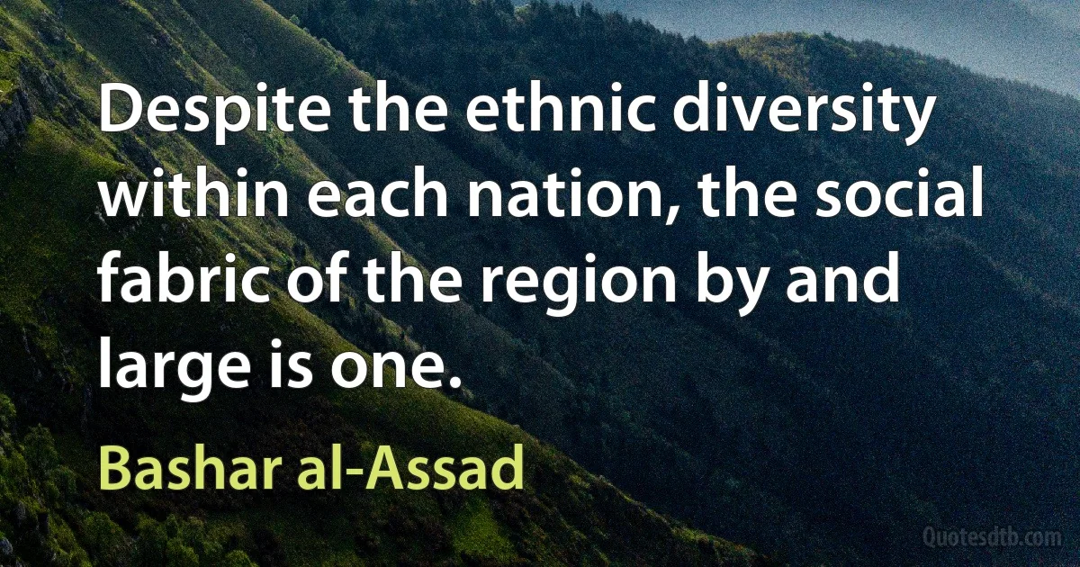 Despite the ethnic diversity within each nation, the social fabric of the region by and large is one. (Bashar al-Assad)