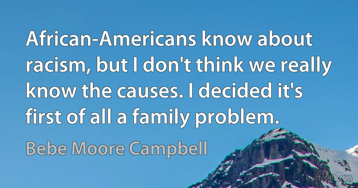 African-Americans know about racism, but I don't think we really know the causes. I decided it's first of all a family problem. (Bebe Moore Campbell)