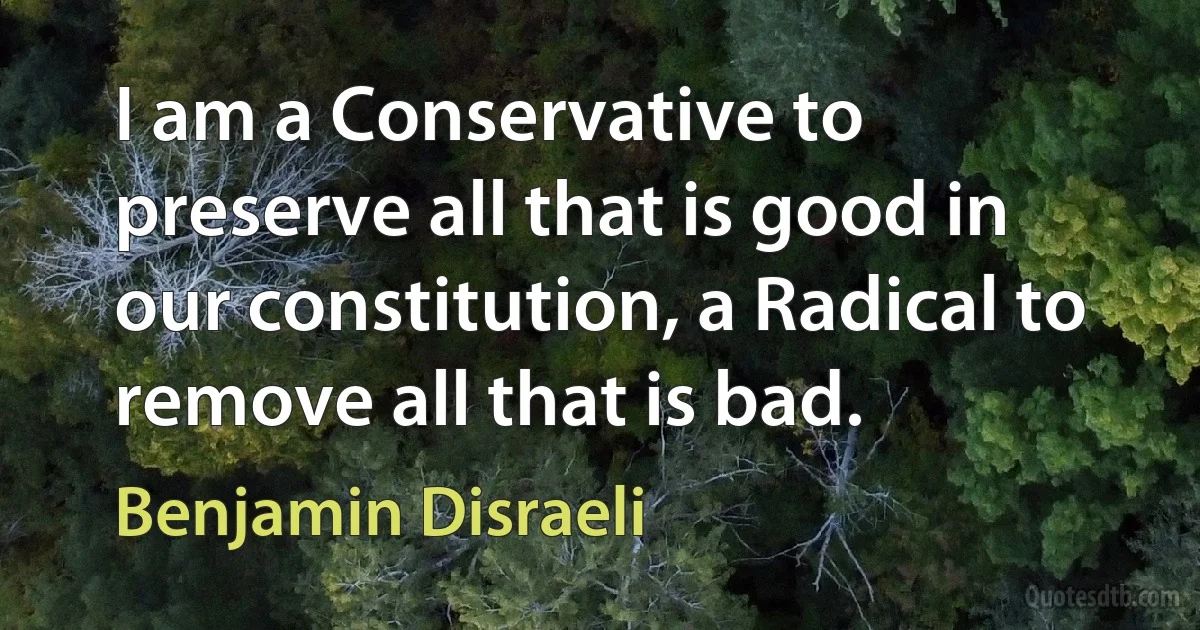 I am a Conservative to preserve all that is good in our constitution, a Radical to remove all that is bad. (Benjamin Disraeli)