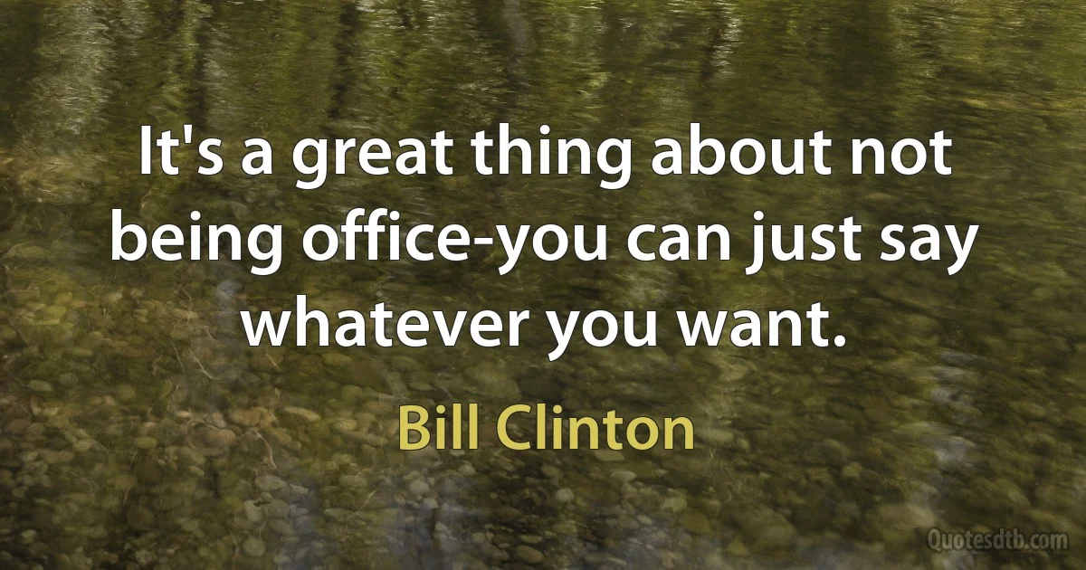 It's a great thing about not being office-you can just say whatever you want. (Bill Clinton)