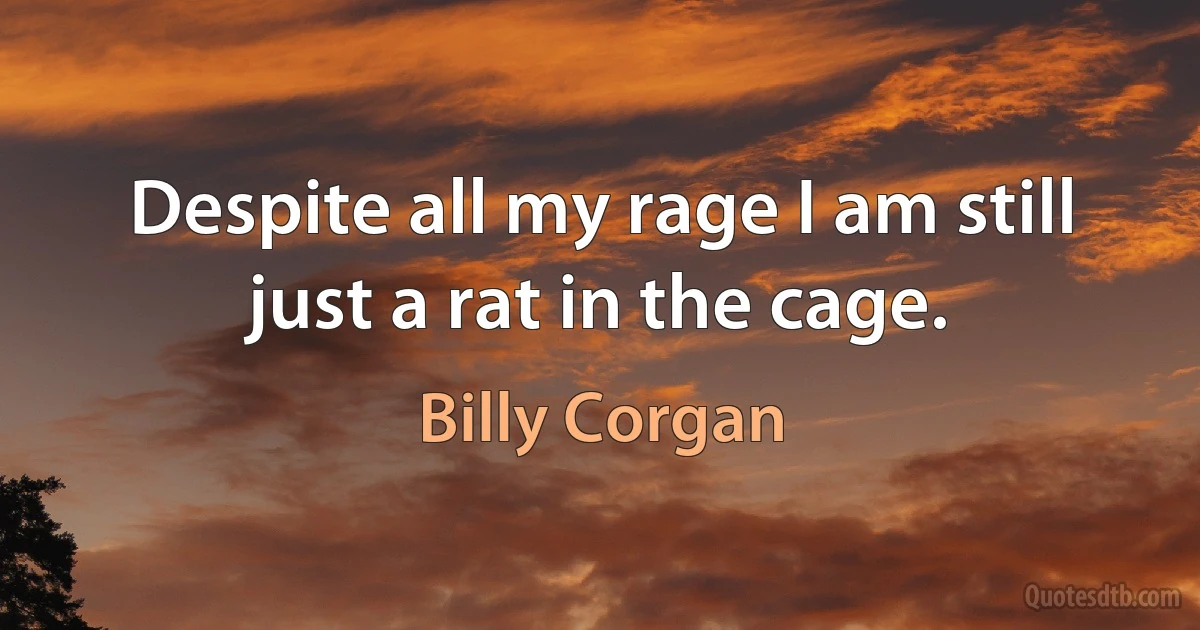 Despite all my rage I am still just a rat in the cage. (Billy Corgan)