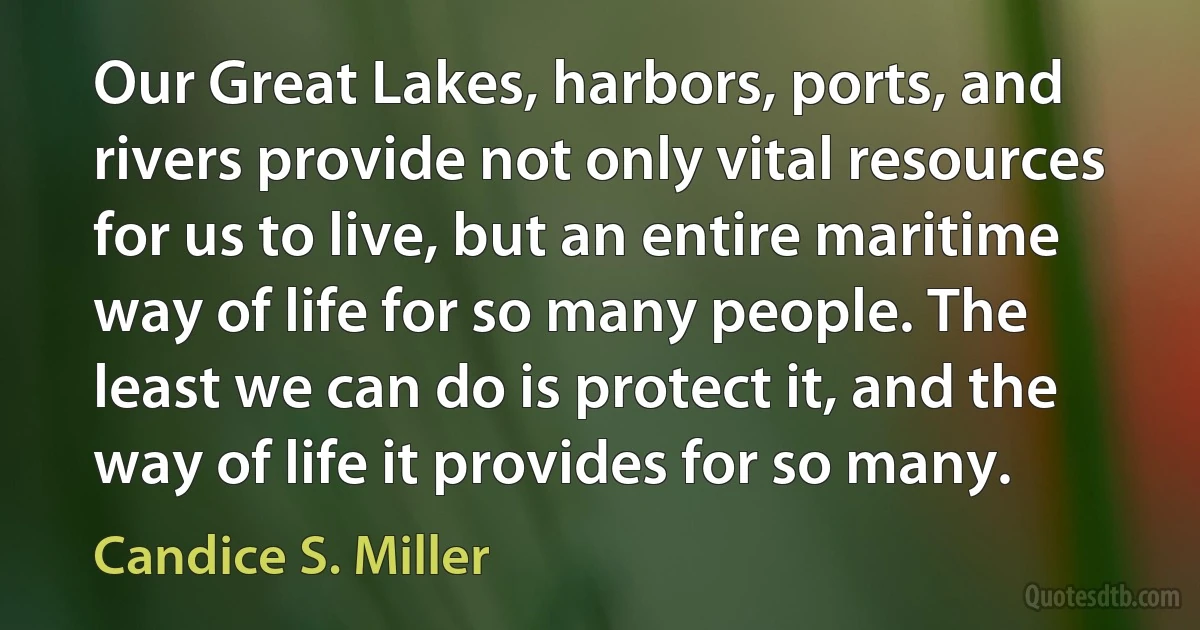 Our Great Lakes, harbors, ports, and rivers provide not only vital resources for us to live, but an entire maritime way of life for so many people. The least we can do is protect it, and the way of life it provides for so many. (Candice S. Miller)