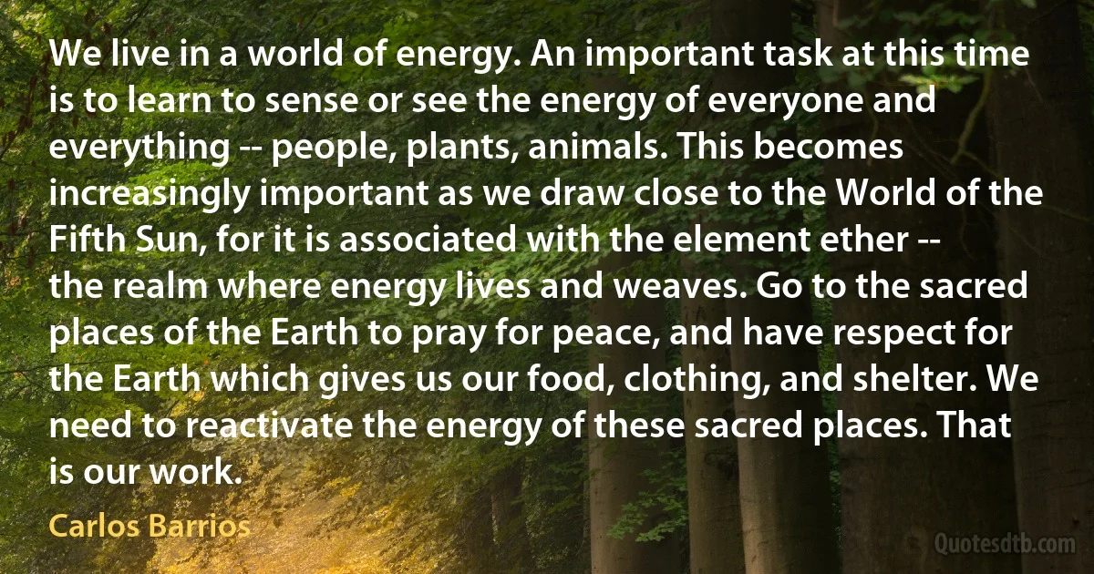 We live in a world of energy. An important task at this time is to learn to sense or see the energy of everyone and everything -- people, plants, animals. This becomes increasingly important as we draw close to the World of the Fifth Sun, for it is associated with the element ether -- the realm where energy lives and weaves. Go to the sacred places of the Earth to pray for peace, and have respect for the Earth which gives us our food, clothing, and shelter. We need to reactivate the energy of these sacred places. That is our work. (Carlos Barrios)