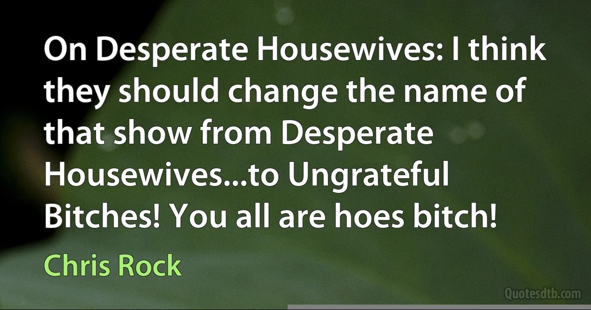 On Desperate Housewives: I think they should change the name of that show from Desperate Housewives...to Ungrateful Bitches! You all are hoes bitch! (Chris Rock)