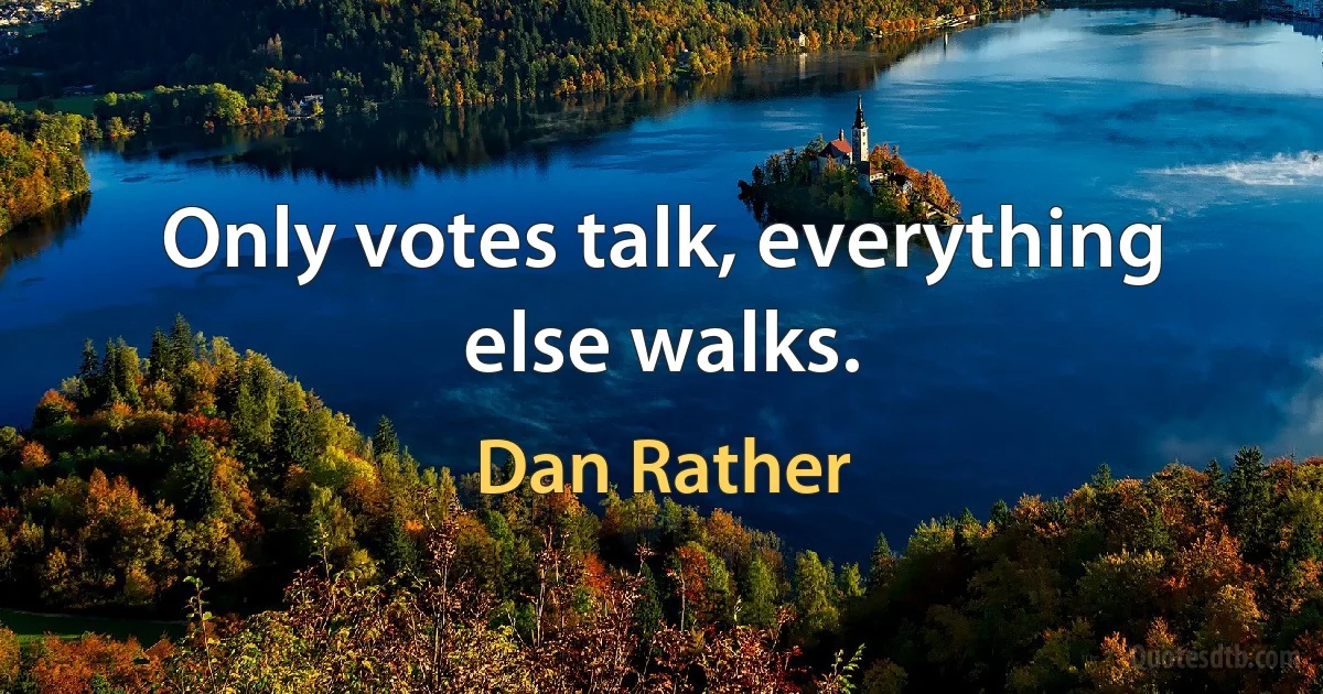 Only votes talk, everything else walks. (Dan Rather)