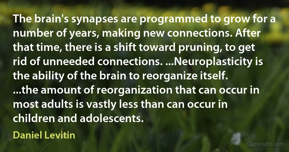 The brain's synapses are programmed to grow for a number of years, making new connections. After that time, there is a shift toward pruning, to get rid of unneeded connections. ...Neuroplasticity is the ability of the brain to reorganize itself. ...the amount of reorganization that can occur in most adults is vastly less than can occur in children and adolescents. (Daniel Levitin)