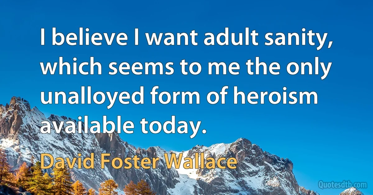 I believe I want adult sanity, which seems to me the only unalloyed form of heroism available today. (David Foster Wallace)