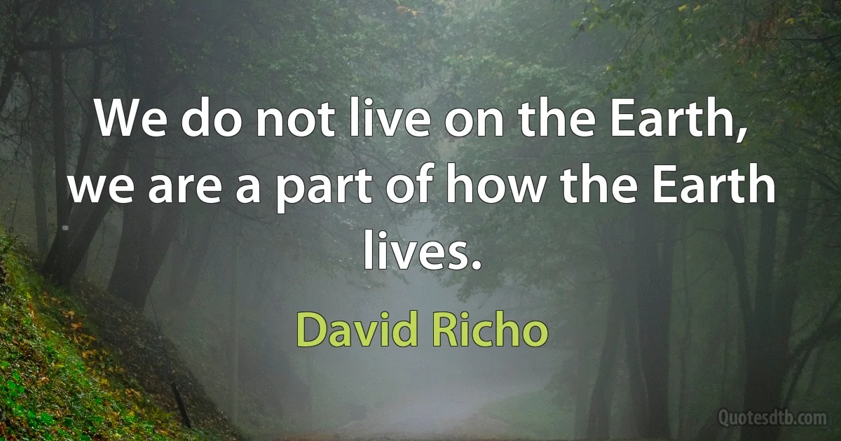 We do not live on the Earth, we are a part of how the Earth lives. (David Richo)