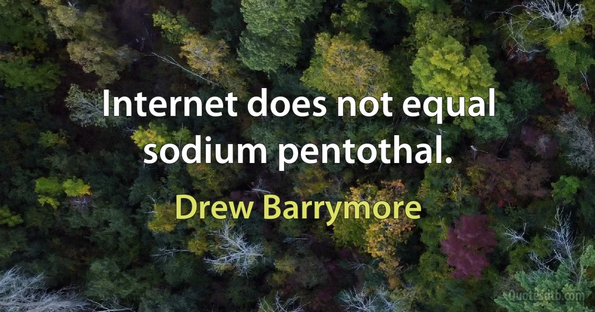 Internet does not equal sodium pentothal. (Drew Barrymore)