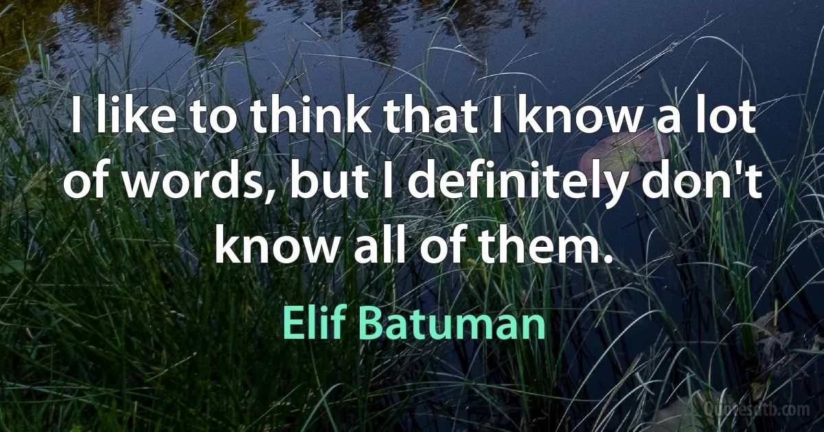 I like to think that I know a lot of words, but I definitely don't know all of them. (Elif Batuman)