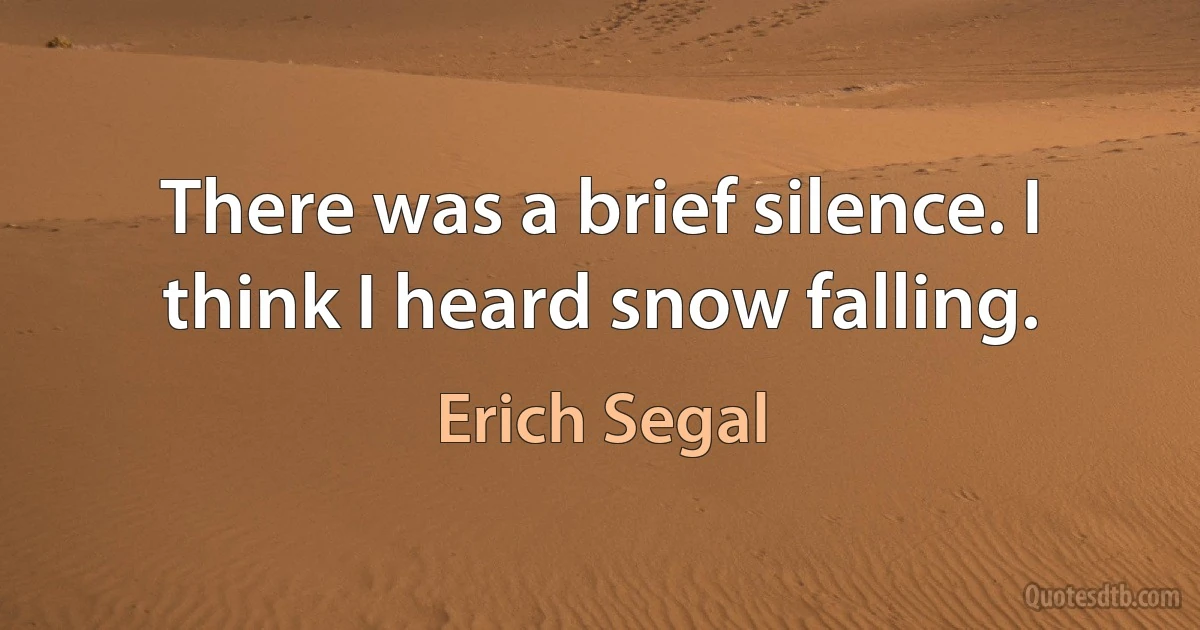 There was a brief silence. I think I heard snow falling. (Erich Segal)