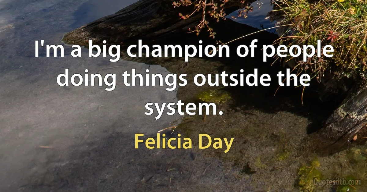 I'm a big champion of people doing things outside the system. (Felicia Day)