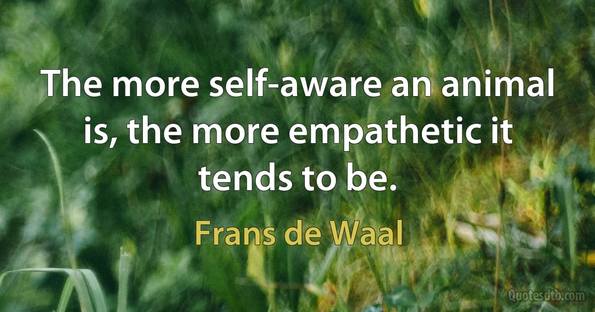 The more self-aware an animal is, the more empathetic it tends to be. (Frans de Waal)