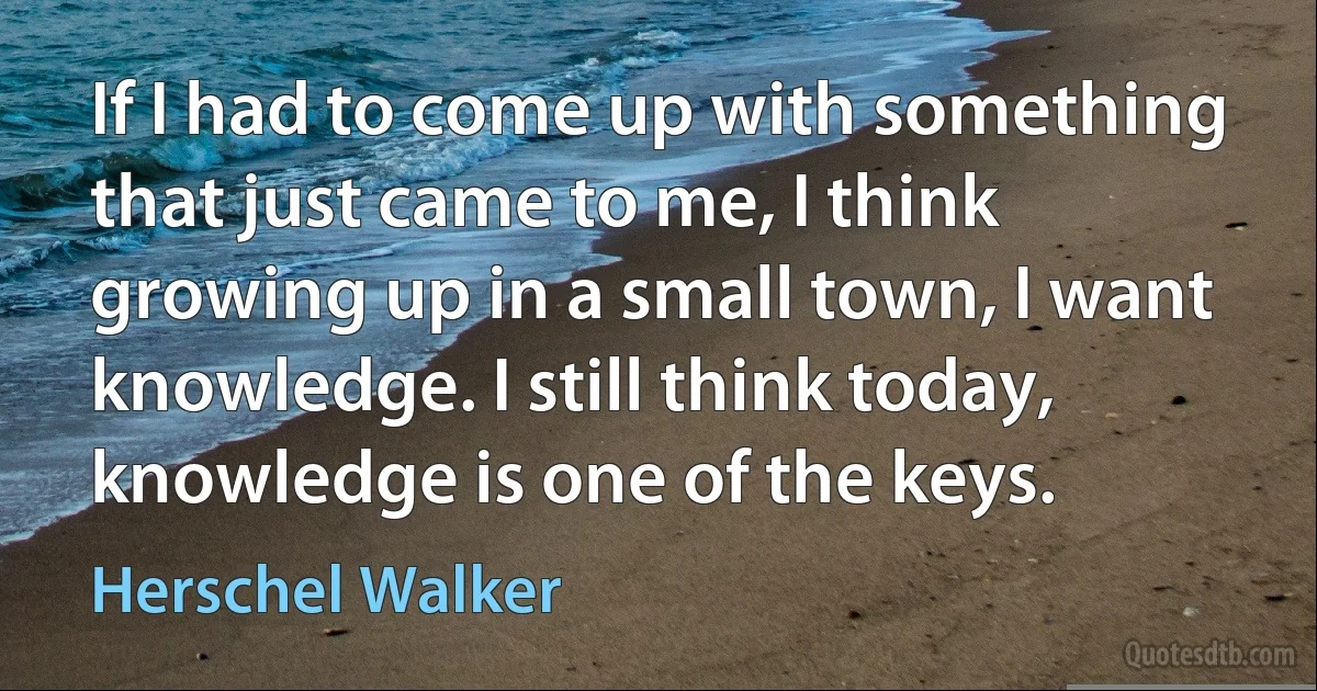 If I had to come up with something that just came to me, I think growing up in a small town, I want knowledge. I still think today, knowledge is one of the keys. (Herschel Walker)