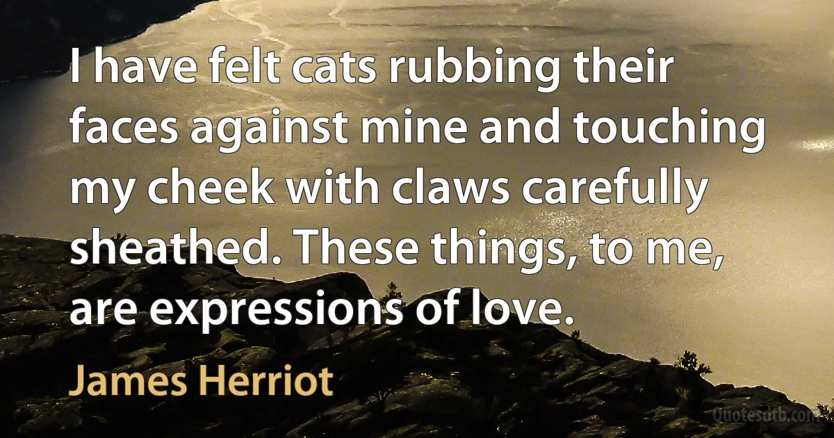 I have felt cats rubbing their faces against mine and touching my cheek with claws carefully sheathed. These things, to me, are expressions of love. (James Herriot)