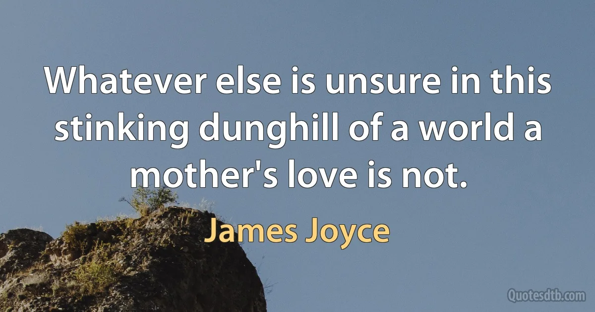 Whatever else is unsure in this stinking dunghill of a world a mother's love is not. (James Joyce)