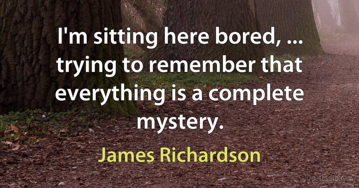 I'm sitting here bored, ... trying to remember that everything is a complete mystery. (James Richardson)