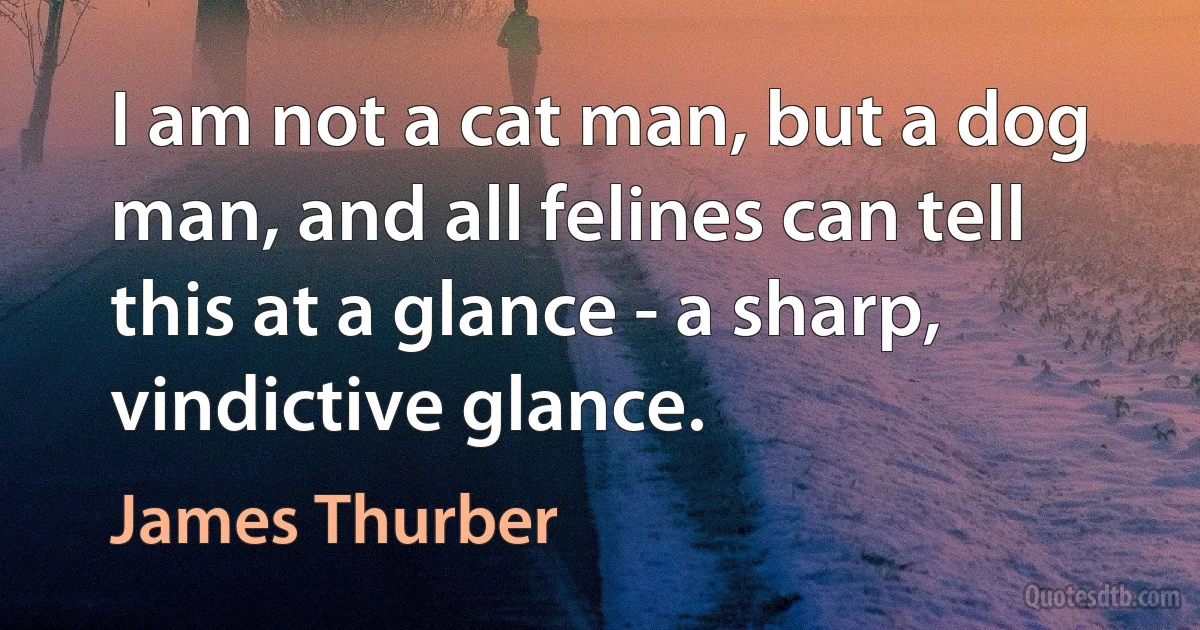 I am not a cat man, but a dog man, and all felines can tell this at a glance - a sharp, vindictive glance. (James Thurber)