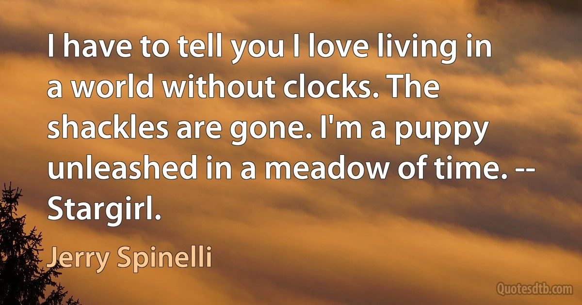 I have to tell you I love living in a world without clocks. The shackles are gone. I'm a puppy unleashed in a meadow of time. -- Stargirl. (Jerry Spinelli)