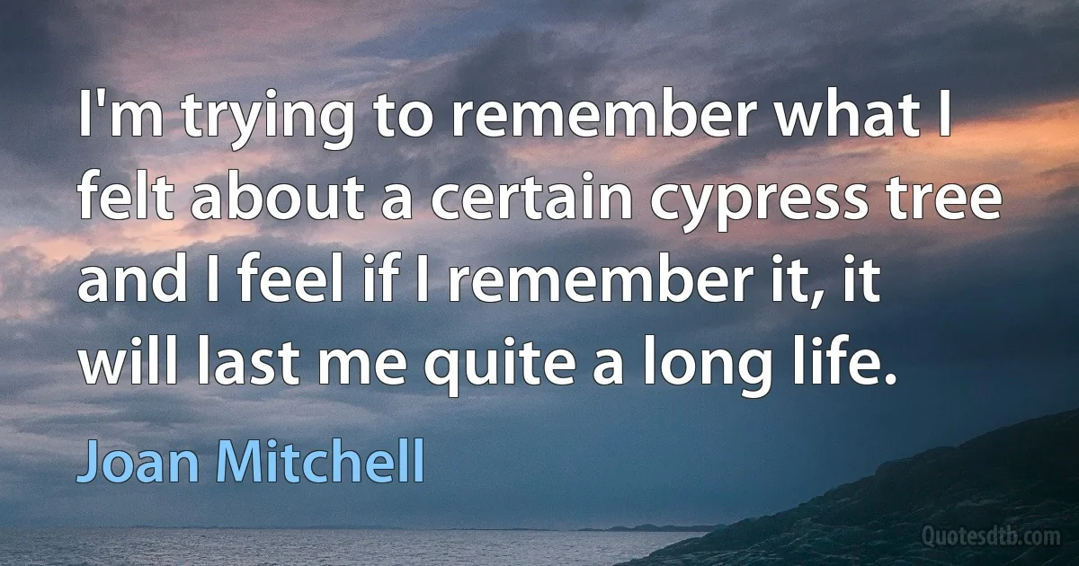 I'm trying to remember what I felt about a certain cypress tree and I feel if I remember it, it will last me quite a long life. (Joan Mitchell)