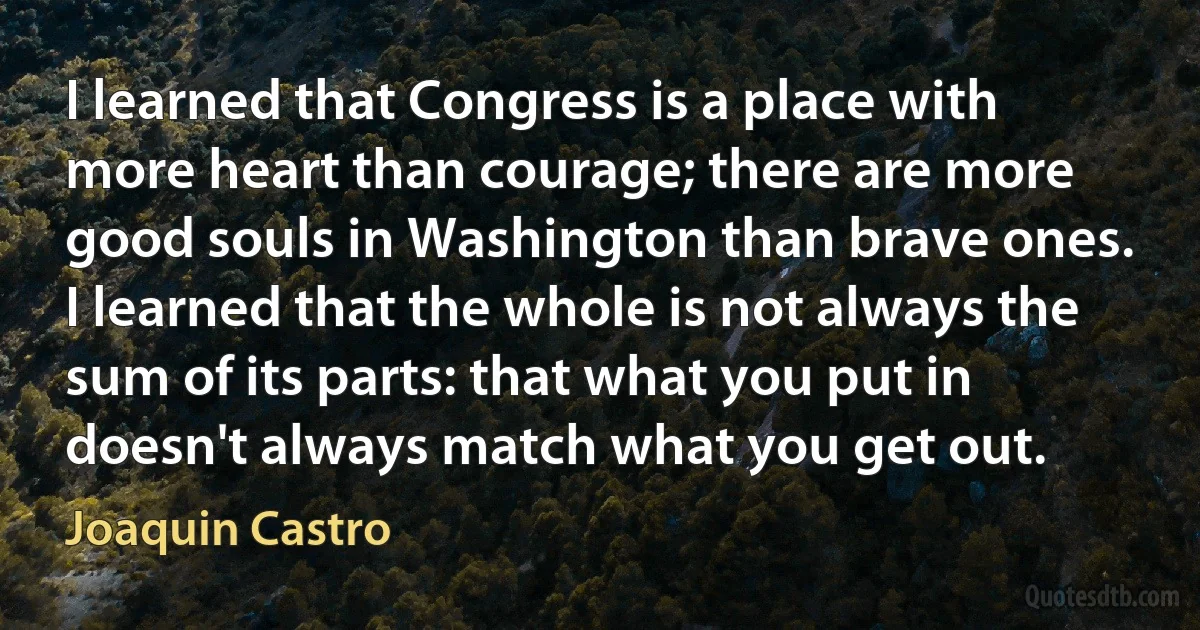 I learned that Congress is a place with more heart than courage; there are more good souls in Washington than brave ones. I learned that the whole is not always the sum of its parts: that what you put in doesn't always match what you get out. (Joaquin Castro)