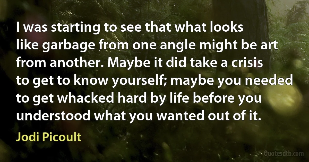 I was starting to see that what looks like garbage from one angle might be art from another. Maybe it did take a crisis to get to know yourself; maybe you needed to get whacked hard by life before you understood what you wanted out of it. (Jodi Picoult)