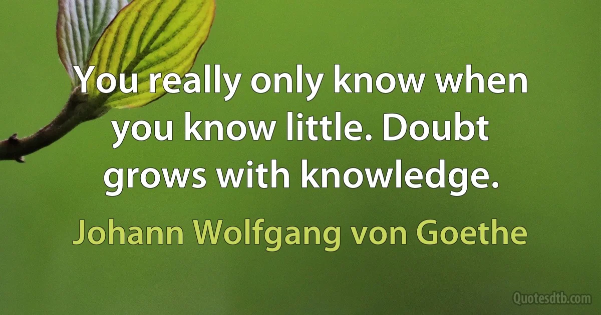 You really only know when you know little. Doubt grows with knowledge. (Johann Wolfgang von Goethe)