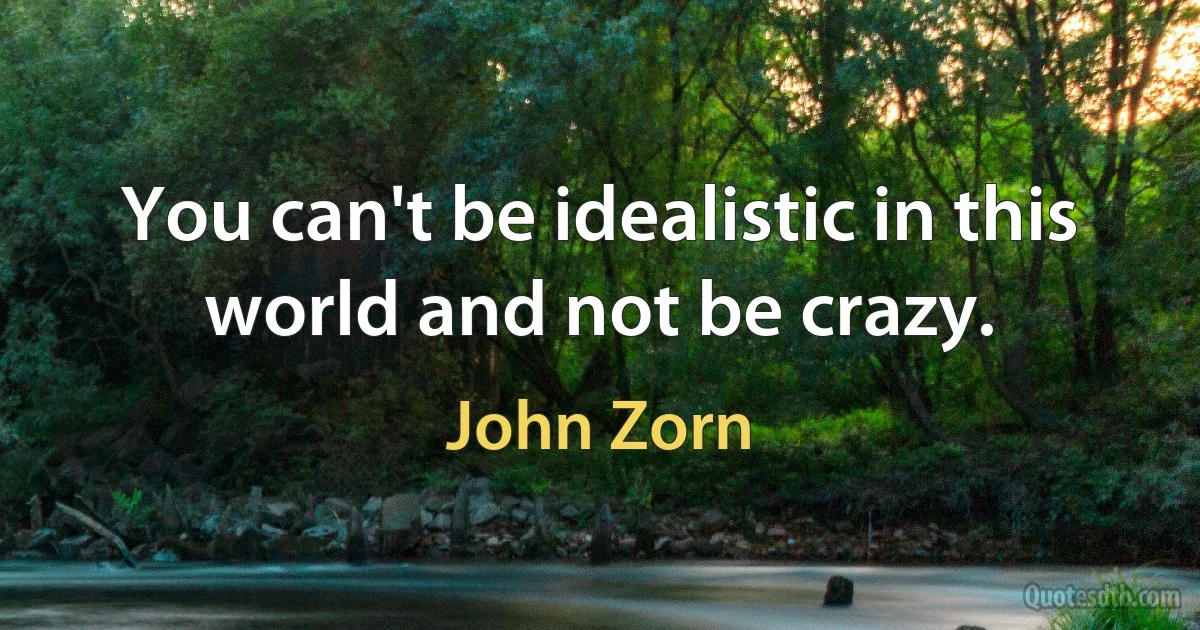 You can't be idealistic in this world and not be crazy. (John Zorn)