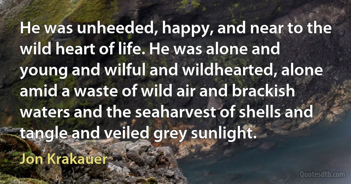 He was unheeded, happy, and near to the wild heart of life. He was alone and young and wilful and wildhearted, alone amid a waste of wild air and brackish waters and the seaharvest of shells and tangle and veiled grey sunlight. (Jon Krakauer)