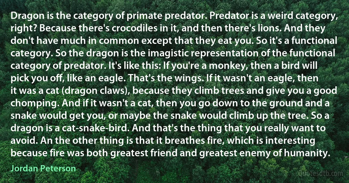 Dragon is the category of primate predator. Predator is a weird category, right? Because there's crocodiles in it, and then there's lions. And they don't have much in common except that they eat you. So it's a functional category. So the dragon is the imagistic representation of the functional category of predator. It's like this: If you're a monkey, then a bird will pick you off, like an eagle. That's the wings. If it wasn't an eagle, then it was a cat (dragon claws), because they climb trees and give you a good chomping. And if it wasn't a cat, then you go down to the ground and a snake would get you, or maybe the snake would climb up the tree. So a dragon is a cat-snake-bird. And that's the thing that you really want to avoid. An the other thing is that it breathes fire, which is interesting because fire was both greatest friend and greatest enemy of humanity. (Jordan Peterson)