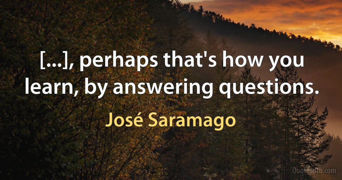 [...], perhaps that's how you learn, by answering questions. (José Saramago)