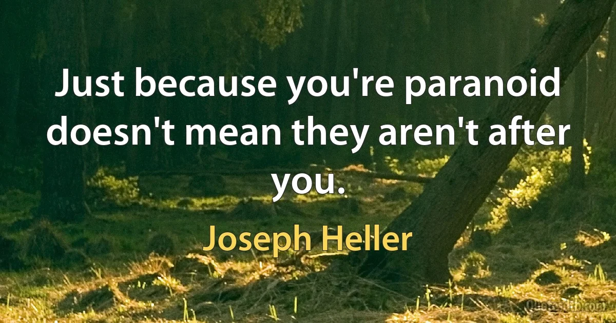 Just because you're paranoid doesn't mean they aren't after you. (Joseph Heller)