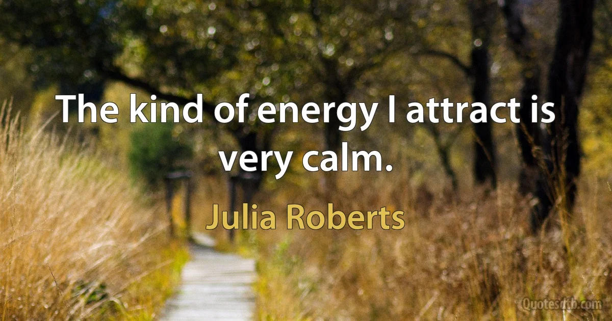 The kind of energy I attract is very calm. (Julia Roberts)