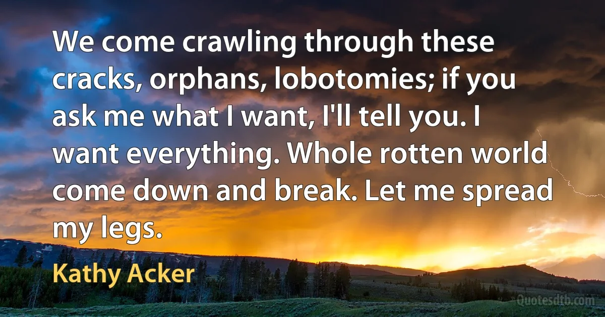 We come crawling through these cracks, orphans, lobotomies; if you ask me what I want, I'll tell you. I want everything. Whole rotten world come down and break. Let me spread my legs. (Kathy Acker)