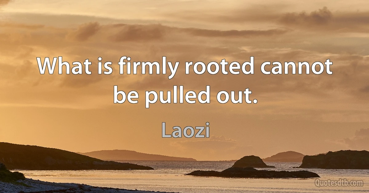 What is firmly rooted cannot be pulled out. (Laozi)