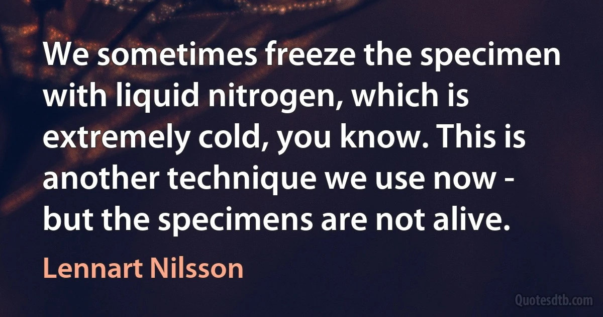 We sometimes freeze the specimen with liquid nitrogen, which is extremely cold, you know. This is another technique we use now - but the specimens are not alive. (Lennart Nilsson)