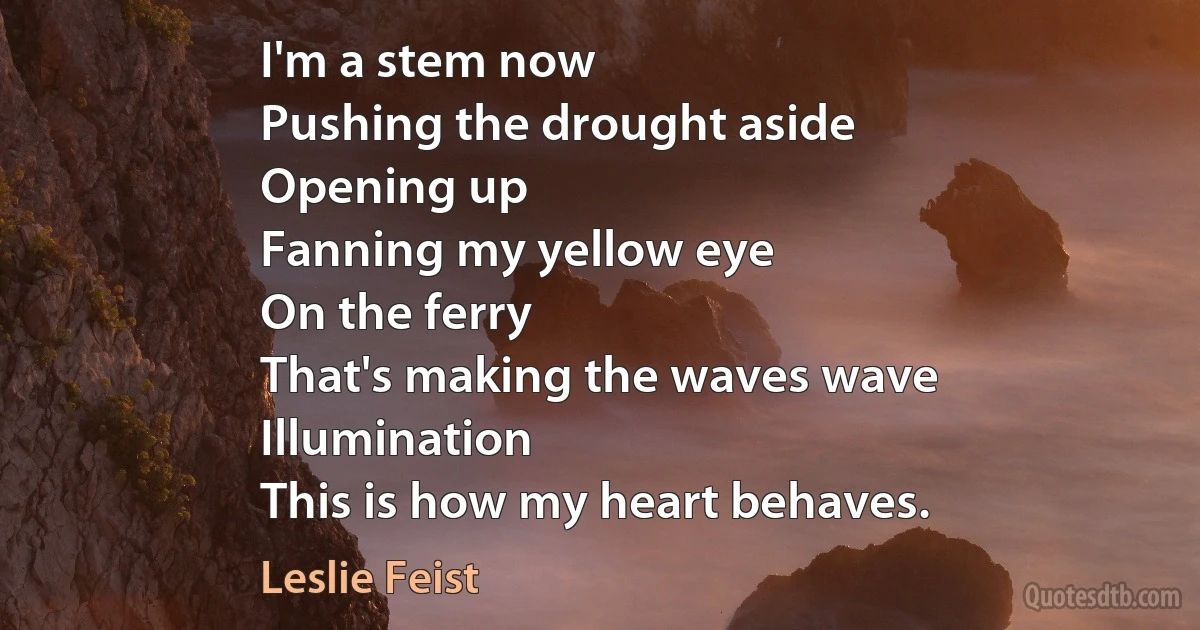 I'm a stem now
Pushing the drought aside
Opening up
Fanning my yellow eye
On the ferry
That's making the waves wave
Illumination
This is how my heart behaves. (Leslie Feist)