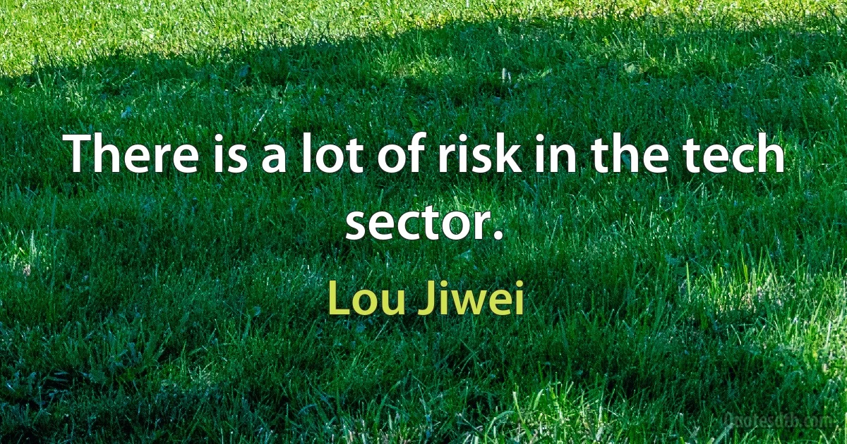 There is a lot of risk in the tech sector. (Lou Jiwei)