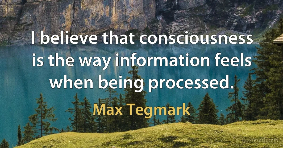 I believe that consciousness is the way information feels when being processed. (Max Tegmark)