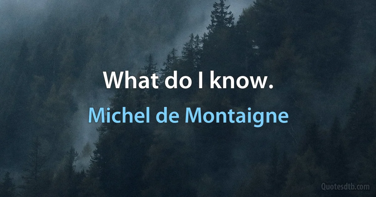 What do I know. (Michel de Montaigne)