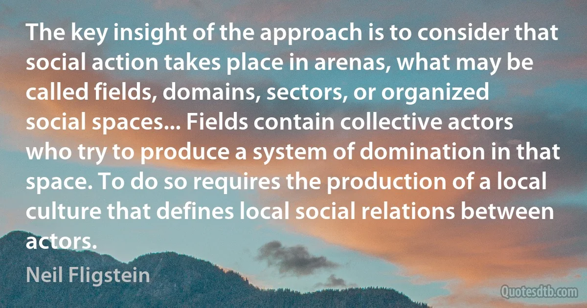 The key insight of the approach is to consider that social action takes place in arenas, what may be called fields, domains, sectors, or organized social spaces... Fields contain collective actors who try to produce a system of domination in that space. To do so requires the production of a local culture that defines local social relations between actors. (Neil Fligstein)