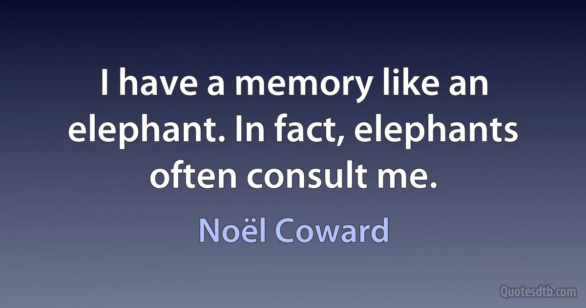 I have a memory like an elephant. In fact, elephants often consult me. (Noël Coward)